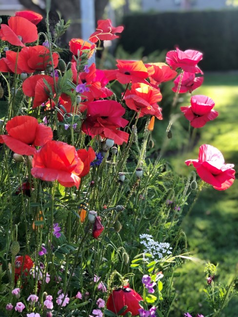 Obituary of Norma Fay Fernandez