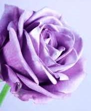 Obituary of Maria S. Tempestoso