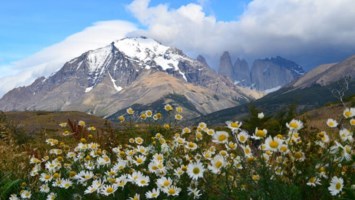 Obituary of Yung-Chien Sun