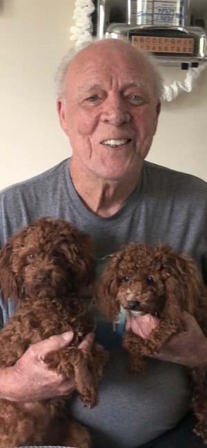 Obituary of Arthur "Art" Joseph Hollinghurst