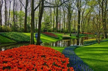 Obituary of Roberto Moreno Garcia