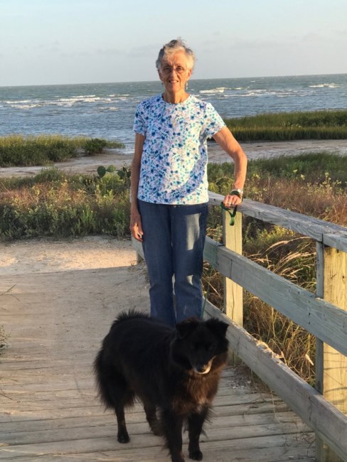 Obituary of Luann Marie Suckley