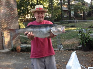 Obituary of William "Billy" Joseph Weber