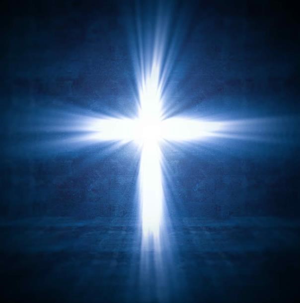 Obituario de Julie Ann Leone