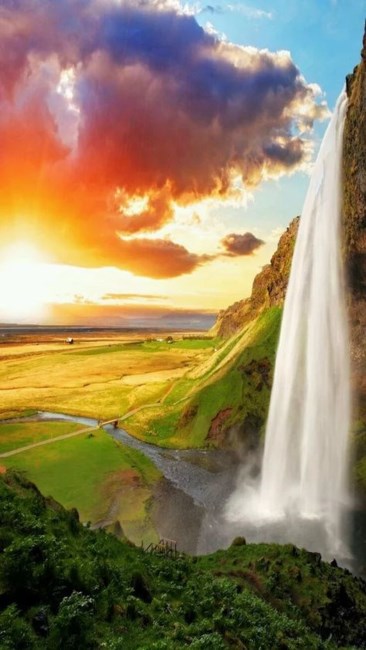 Obituary of Stella Mae Olson