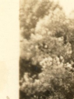 Mary Ricci Obituary - Fort Pierce, FL