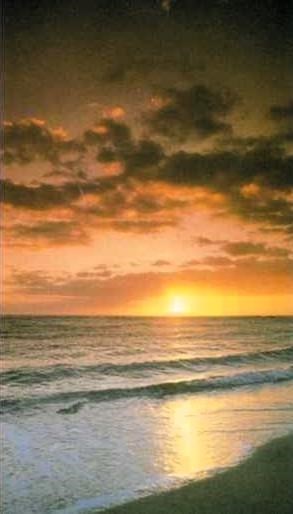 Obituary of Andrew D. Schenk