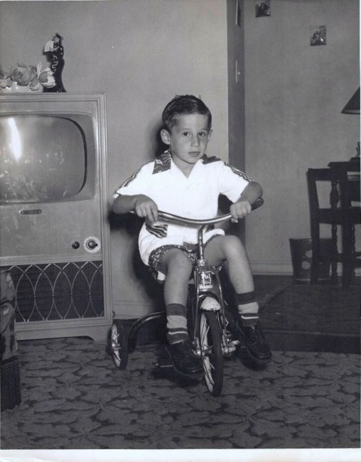 Obituary of Louis C. Marino