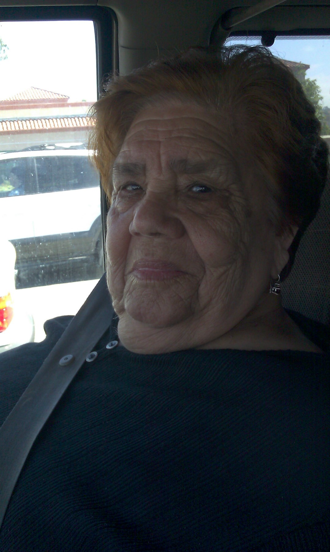 Obituary of Josefina Novoa De Haro