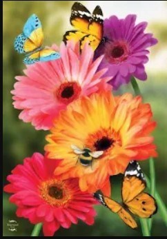 Obituary of Bernice Louise Ogden