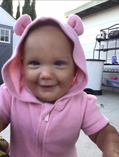 Obituary of Rae-Lynn Moll