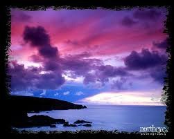 Obituary of Donna M. Elia