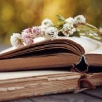 Obituary of Nancy Em Halverhout