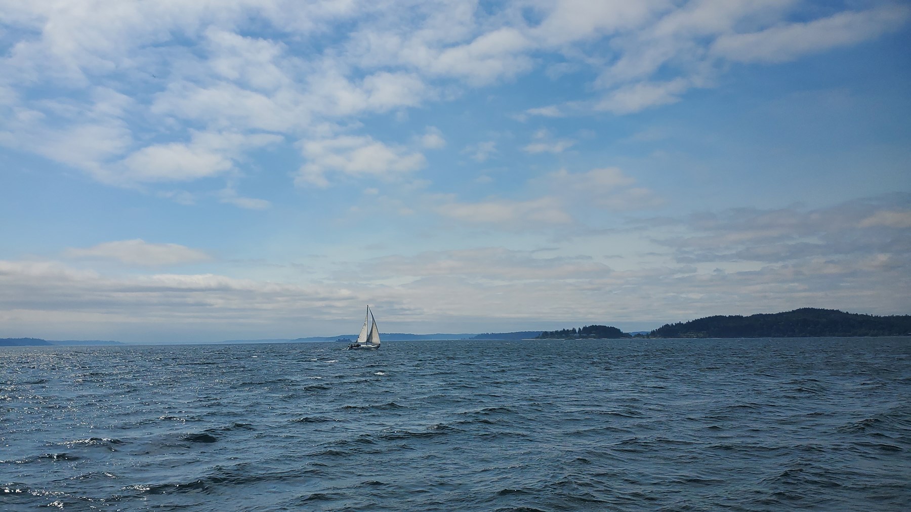 Michael William Shelton Obituary Snohomish, WA