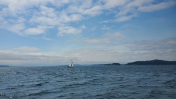 Obituary of Michael William Shelton