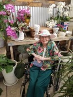 Dorothy Englund