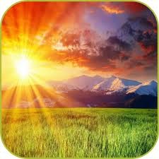 Obituary of August R. Belfiore