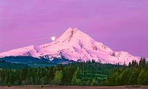 Obituary of Larry Shelton