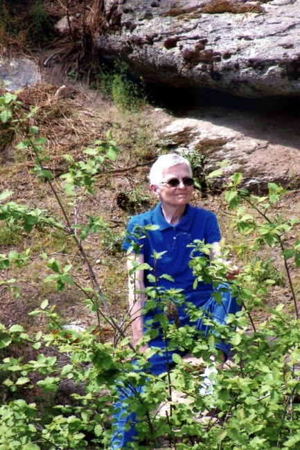 Obituary of Merilyn Olive Lloyd