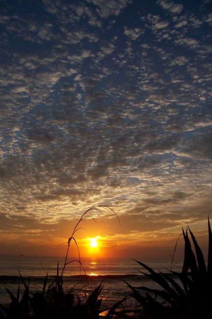 Obituary of Bobby H Starkey