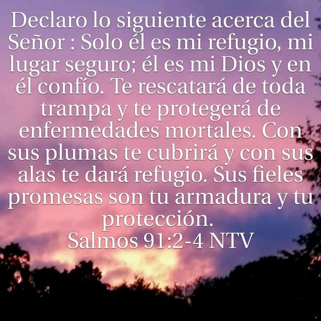 Nilda Cepeda Navarro Obituary Brandon Fl O salmo mais poderoso da biblia. nilda cepeda navarro obituary brandon fl