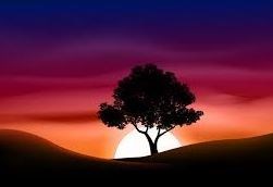 Obituary of Nancy Helen Hemingway