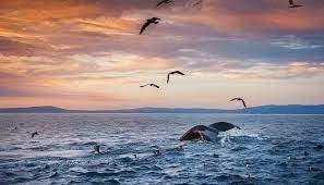 Obituary of Clarence Wilburn Martin