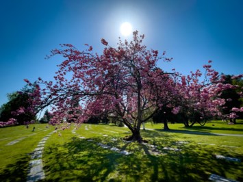 Obituary of Meriel Catherine Price