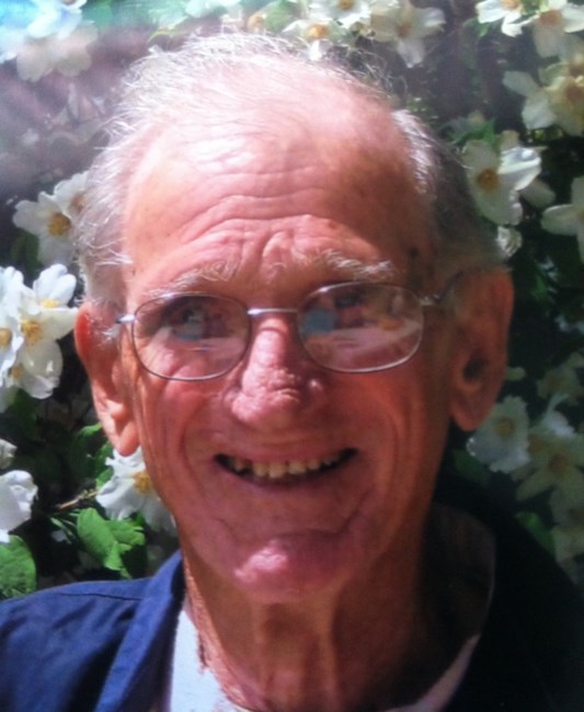 Obituary of Domenick Stefani