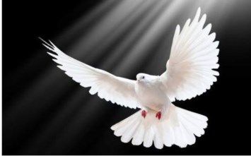 Obituary of Guillermo Anibal Barrios Barrios