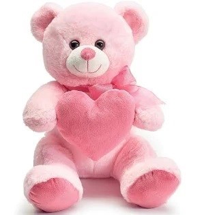 Obituary of Ivania Maribel Flores Lopez