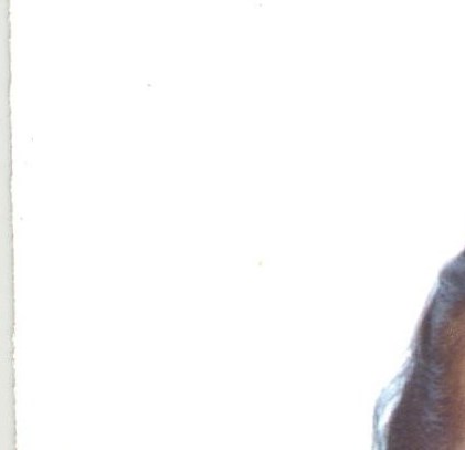 Guadalupe Flores Obituary Ontario, CA