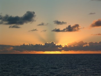 Obituary of Herman Hammer