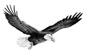 Obituary of Robin Timothy Arquette