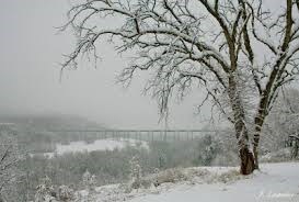 Obituary of Raymond Joseph Strauss