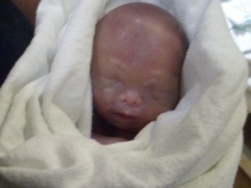 Obituario de James Joseph Roger Bellefeuille Larose