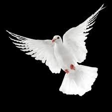 Obituary of Eileen Henkel