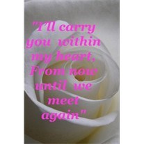 Obituary of Anita Palomino