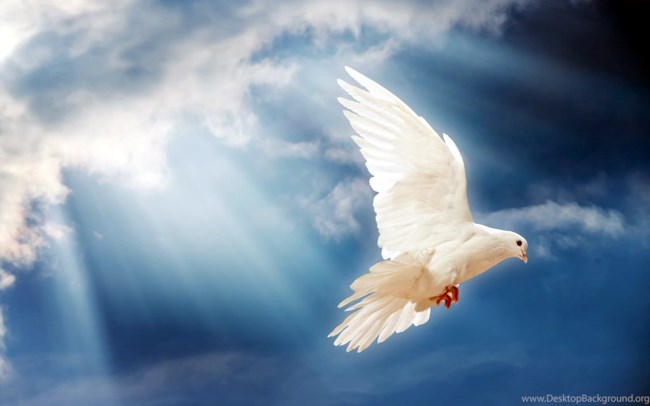 Obituary of Cornelia Oros