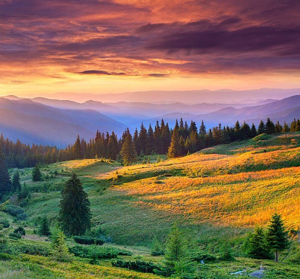 Obituary of Ronald Lawrence Doerfler