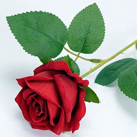 Obituary of Eva Gonzalez