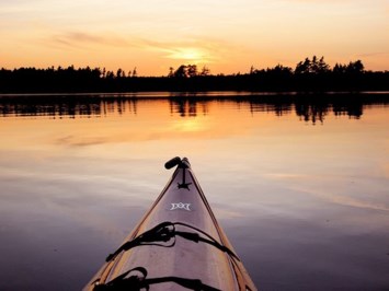 Obituary of Judy Marlene Solomon