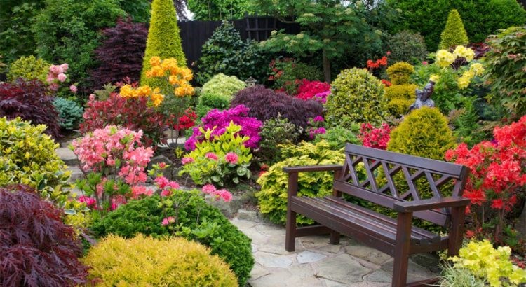 Obituary of Linda S. Herren