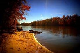 Obituary of Roy William Lancaster