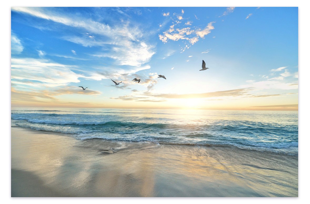 Obituary of Mary Therese McDermott