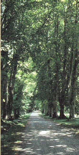 Obituary of Gavin O'Reilly