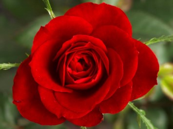 Obituary of Eric John Petersen
