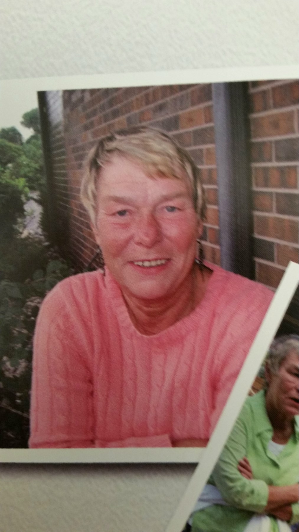 Obituary of Sharon Jean Holtz