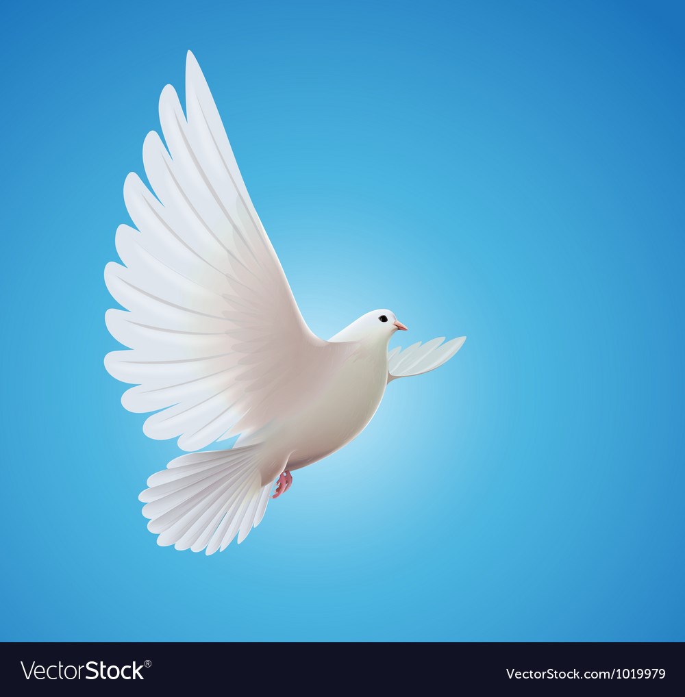 Obituary of Jessa Lynn Johnson