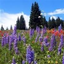 Obituary of David Stephen McDonald